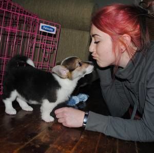 Meet your Posher, Alyssa